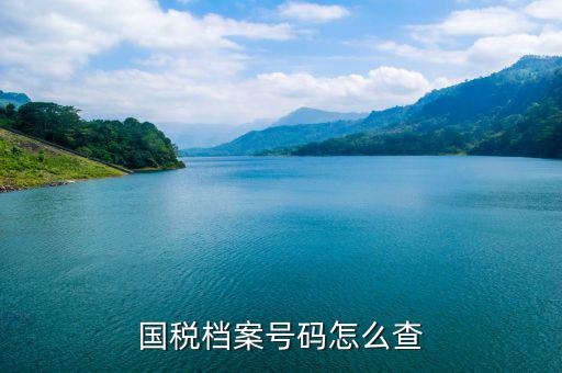 如何查地稅檔案，國稅檔案號碼怎么查
