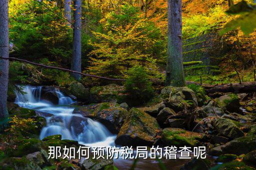 如何逃避稽查局查賬，如何應(yīng)對稅務(wù)稽查查賬老板把責(zé)任推倒會計身上