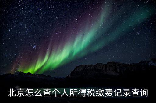北京地稅個人如何查詢系統(tǒng)，北京個人所得稅怎么查詢