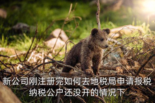 新公司剛注冊完如何去地稅局申請(qǐng)報(bào)稅納稅公戶還沒開的情況下