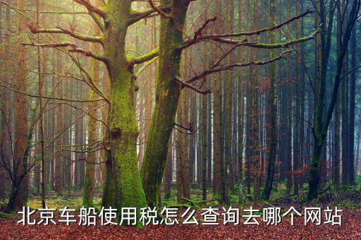 北京車船稅如何查詢系統(tǒng)，北京車船使用稅怎么查詢交沒交