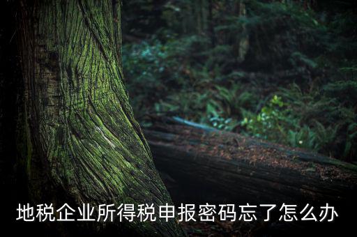 南京地稅密碼如何重置，個人所得稅忘記密碼之后如何進(jìn)行重置呢