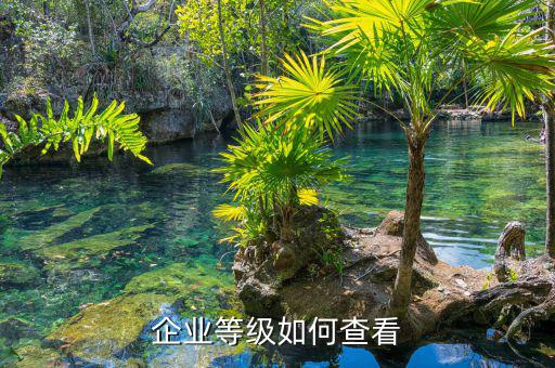 如何查納稅信用等級，企業(yè)納稅信用等級有何用處