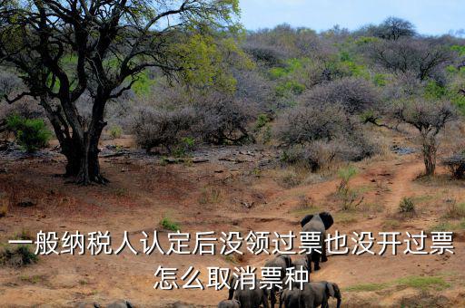 如何取消發(fā)票票種核定，一般納稅人認(rèn)定后沒領(lǐng)過票也沒開過票怎么取消票種