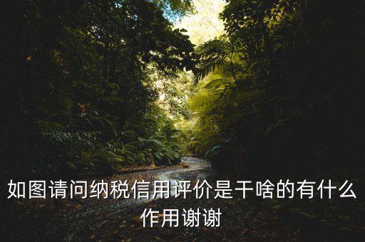稅務(wù)如何評(píng)定信用如何打分，哪些涉稅行為會(huì)影響納稅信用等級(jí)評(píng)定