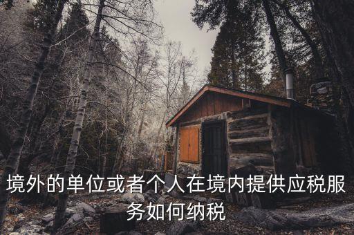境外機(jī)構(gòu)如何繳納增值稅，來源于境外收入怎么交增值稅