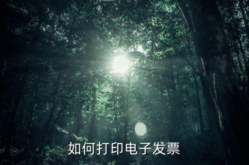 如何打印電子稅務(wù)局的電子發(fā)票，電子發(fā)票怎樣打印