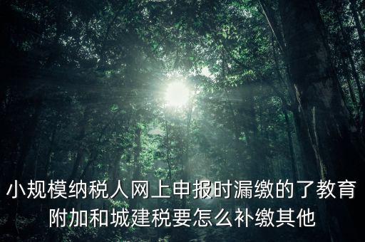 過了征期如何補交城建稅，請問城建稅忘記交怎么辦