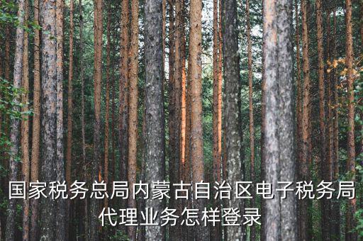 國家稅務總局內(nèi)蒙古自治區(qū)電子稅務局代理業(yè)務怎樣登錄