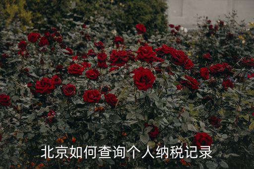 如何查詢北京國(guó)稅局納稅人狀態(tài)，如何進(jìn)行北京市A級(jí)納稅人信用查詢