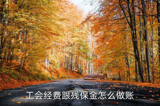 工會經(jīng)費跟殘保金怎么做賬