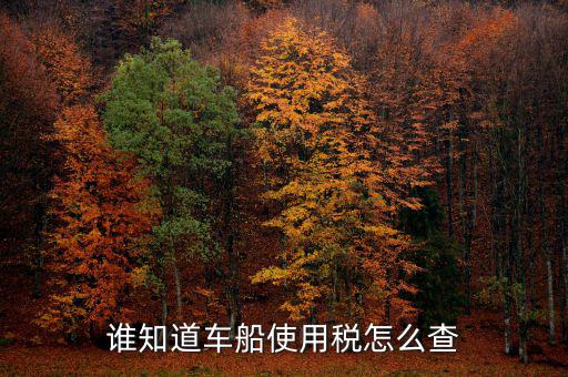 如何查詢自己交車船稅，車船稅交沒(méi)交能在網(wǎng)上查詢嗎