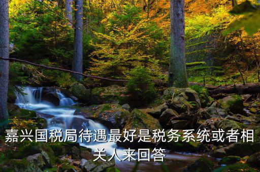 海寧國(guó)稅局待遇如何，嘉興經(jīng)開國(guó)稅在哪