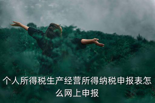 生產(chǎn)經(jīng)營所得如何網(wǎng)上申報(bào)，個(gè)體工商戶網(wǎng)上申報(bào)怎么做