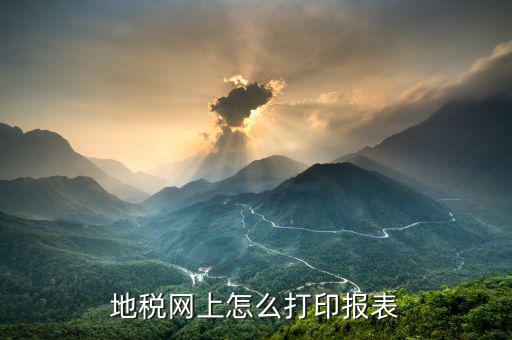 地稅如何網(wǎng)上登記表，怎樣填寫地稅納稅網(wǎng)上申報(bào)表我已經(jīng)交過稅金了在網(wǎng)上申報(bào)該怎樣