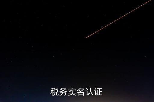 湖北省公司辦稅人員如何實(shí)名，稅務(wù)實(shí)名制信息采集