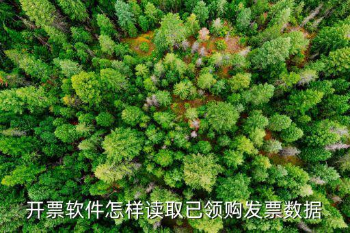 發(fā)票數(shù)據(jù)如何采集，開票軟件怎樣讀取已領(lǐng)購發(fā)票數(shù)據(jù)