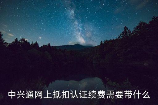 中興通網(wǎng)上抵扣認(rèn)證續(xù)費需要帶什么