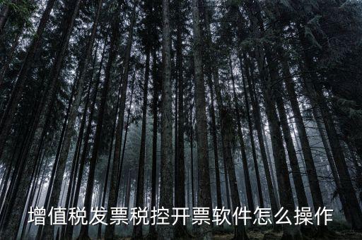 百望開票軟件如何開票，百望開票系統(tǒng)發(fā)票抬頭有符號(hào)怎么打