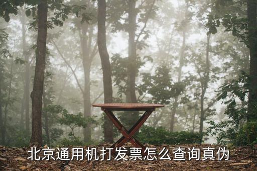 如何查詢北京普通發(fā)票真?zhèn)尾樵?，北京增值稅普通發(fā)票可以網(wǎng)上查詢真?zhèn)螁?/></a></span><span id=