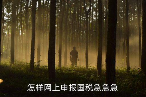 怎樣網(wǎng)上申報(bào)國稅急急急