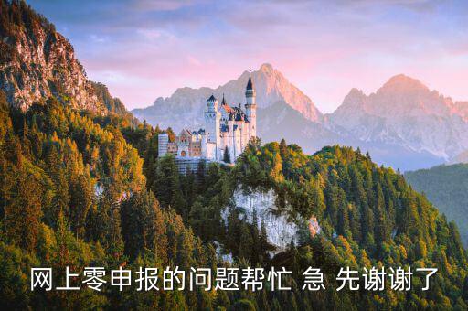廣東如何網(wǎng)上0申報(bào)，網(wǎng)上零申報(bào)的問題幫忙 急 先謝謝了