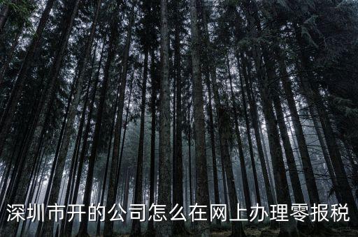 深圳如何在網上辦理納稅，深圳市開的公司怎么在網上辦理零報稅