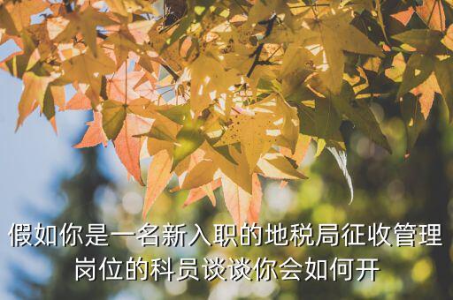 假如你是一名新入職的地稅局征收管理崗位的科員談?wù)勀銜?huì)如何開(kāi)