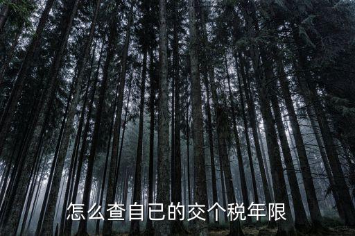 如何查詢納稅期限，怎么查自已的交個稅年限