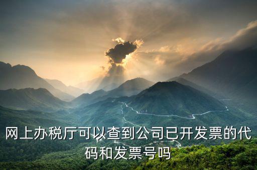 網(wǎng)上辦稅廳可以查到公司已開(kāi)發(fā)票的代碼和發(fā)票號(hào)嗎