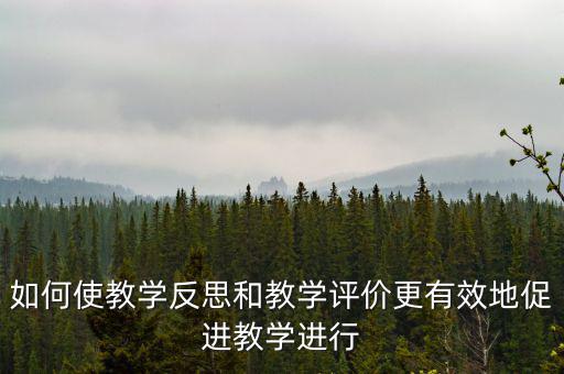 如何使教學(xué)反思和教學(xué)評價更有效地促進教學(xué)進行