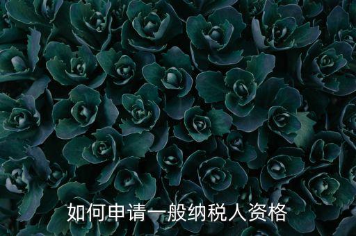 一般納稅人如何申請(qǐng)B級(jí)，一般納稅人B類企業(yè)如何申報(bào)企業(yè)所得稅
