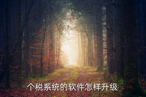 個稅系統(tǒng)的軟件怎樣升級