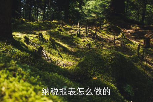 如何做數(shù)據(jù)報稅，在開普票里每月1號申報數(shù)據(jù)具體怎么弄的先點擊報稅再點