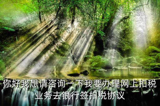 如何辦理稅庫(kù)銀，去稅務(wù)局辦理稅控盤(pán)需要什么資料流程怎么走呢