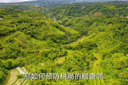那如何預防稅局的稽查呢