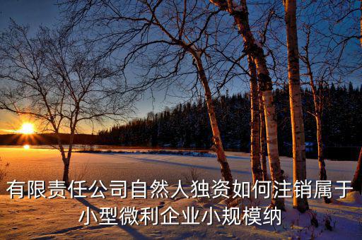 如何注銷小微企業(yè)所得稅，小微企業(yè)工商稅務(wù)注銷手續(xù)