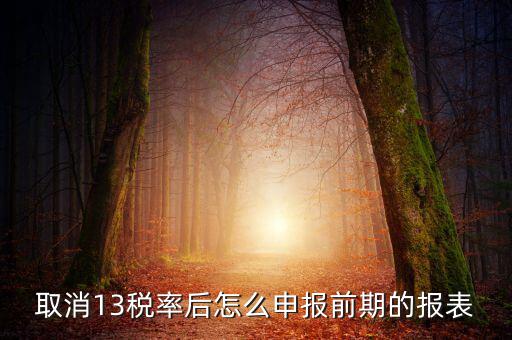 取消13稅率申報表如何填，13的稅率沒了納稅申報以后怎么辦