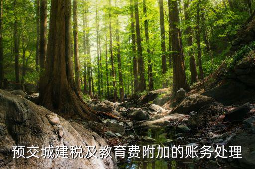 預(yù)繳城建稅如何處理，預(yù)交城建稅及教育費(fèi)附加的賬務(wù)處理