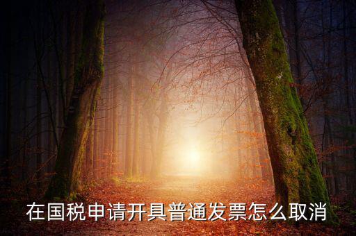 網(wǎng)上申領(lǐng)發(fā)票如何撤銷，已經(jīng)申報了的發(fā)票怎么作廢