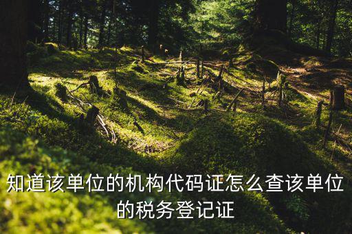 如何查企業(yè)稅務(wù)登記證號(hào)，公司的稅務(wù)登記證號(hào)怎么查詢