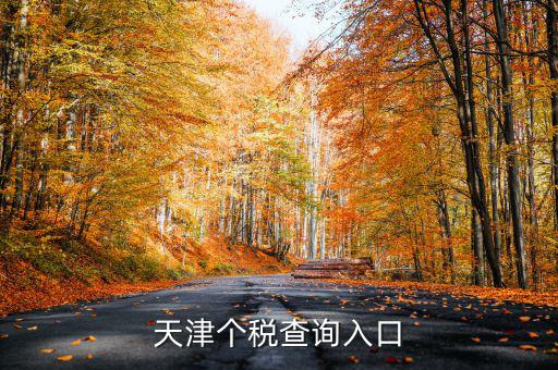 天津個稅如何查詢密碼，天津個稅查詢?nèi)肟?/></a></span><span id=