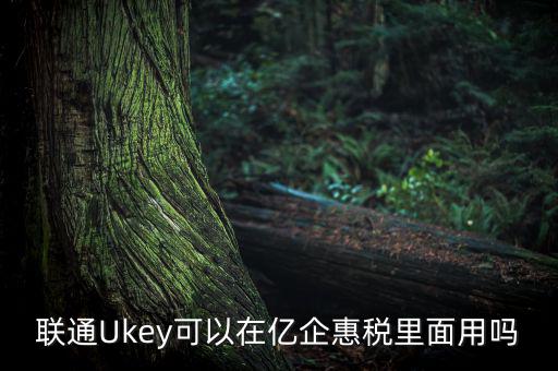 億企惠稅如何填報(bào)，聯(lián)通硬證書里面還贈(zèng)送的其他產(chǎn)品是什么怎么用