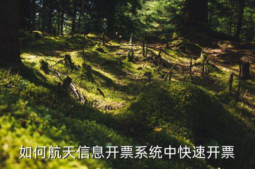 航天信息如何開票，怎么在航天信息開票軟件開紅字發(fā)票