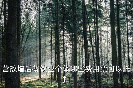 餐飲業(yè)如何抵扣，餐飲業(yè)無法向個(gè)人消費(fèi)者開具增值稅專用發(fā)票那怎么抵扣進(jìn)項(xiàng)稅