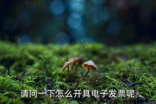 上海如何申領(lǐng)電子發(fā)票，請問一下怎么開具電子發(fā)票呢