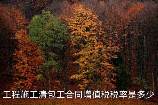 清包工 如何稅務(wù)，一般納稅人去國稅說明是清包工怎么寫說明