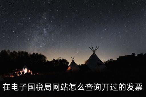 在電子國(guó)稅局網(wǎng)站怎么查詢(xún)開(kāi)過(guò)的發(fā)票