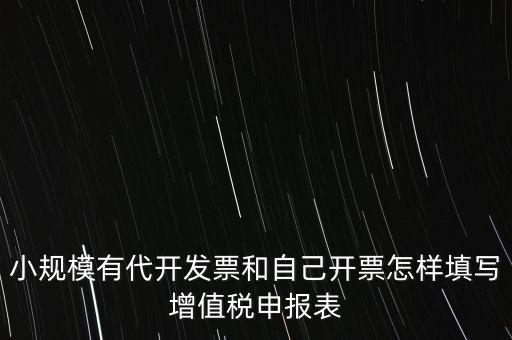 代開專票申報時如何填寫，自助開具增值稅專用發(fā)票申報單怎么填