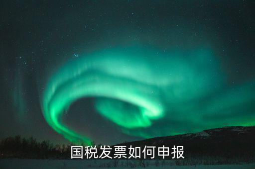 國稅發(fā)票如何申報